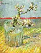 Vincent Van Gogh Blooming Almond Stem in a Glass oil painting picture wholesale